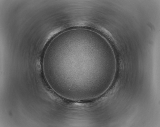 X0000112031218200908101331