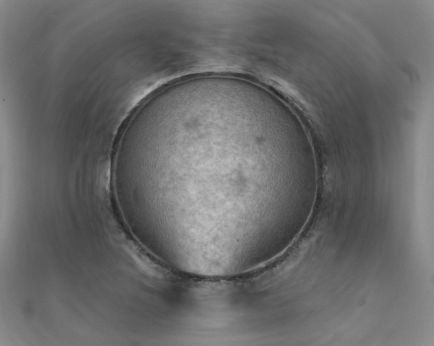 X0000112031220200908101331