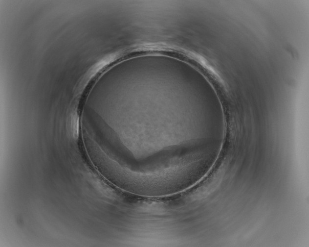 X0000112031221200908101331