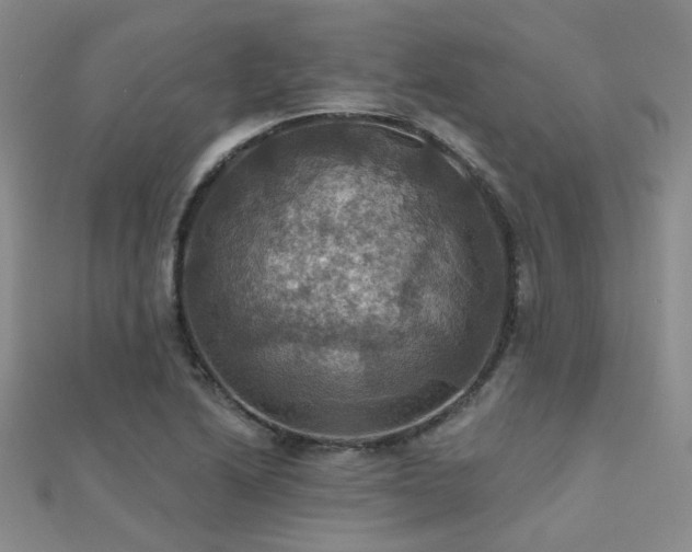 X0000112031222200908101331