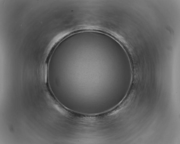 X0000112031223200908101331