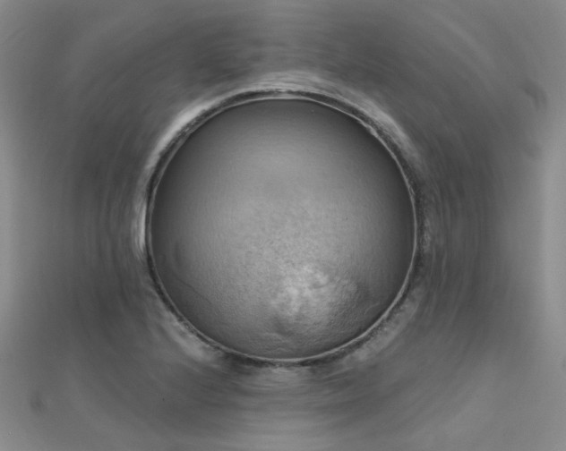X0000112031224200908101331