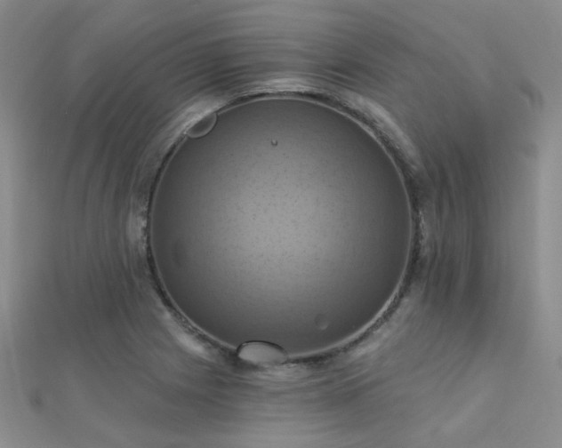 X0000112031225200908101331