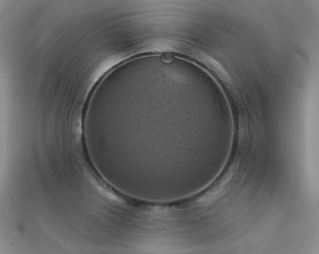 X0000112031226200908101331