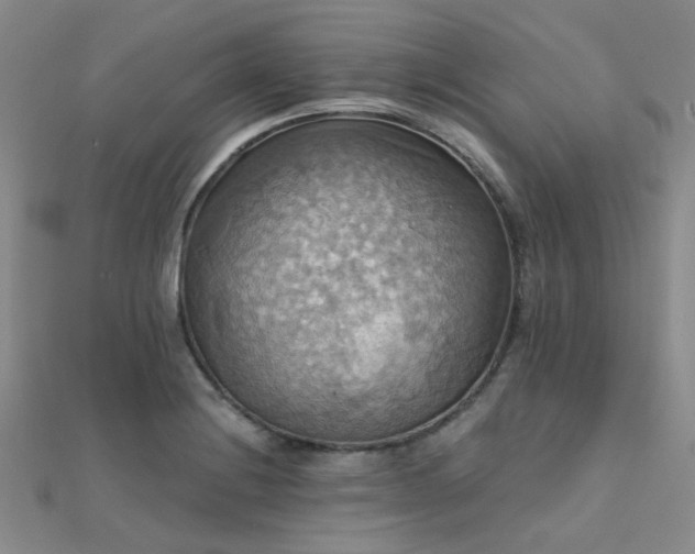 X0000112031228200908101331