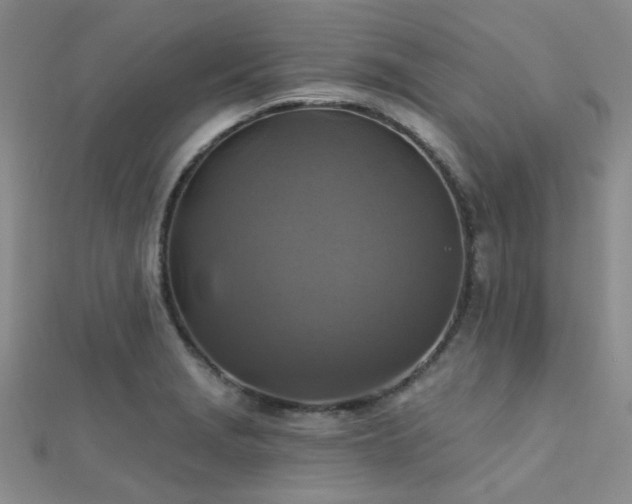 X0000112031229200908101331