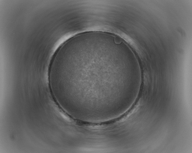 X0000112031230200908101331
