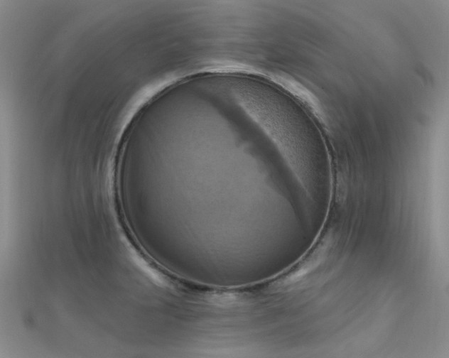 X0000112031231200908101331