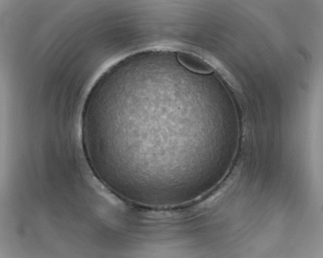 X0000112031232200908101331