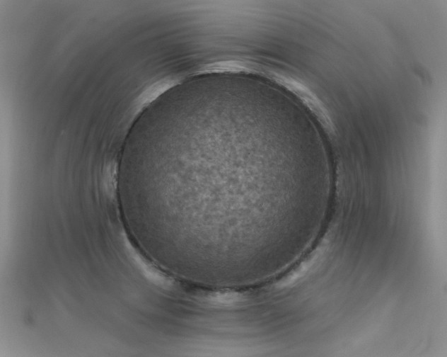 X0000112031233200908101331