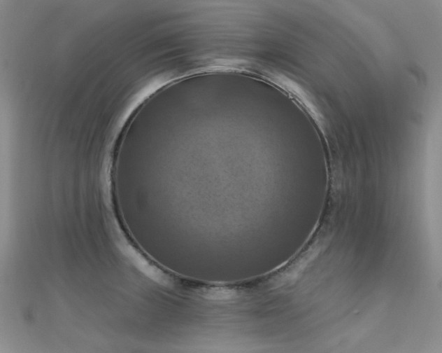 X0000112031235200908101331