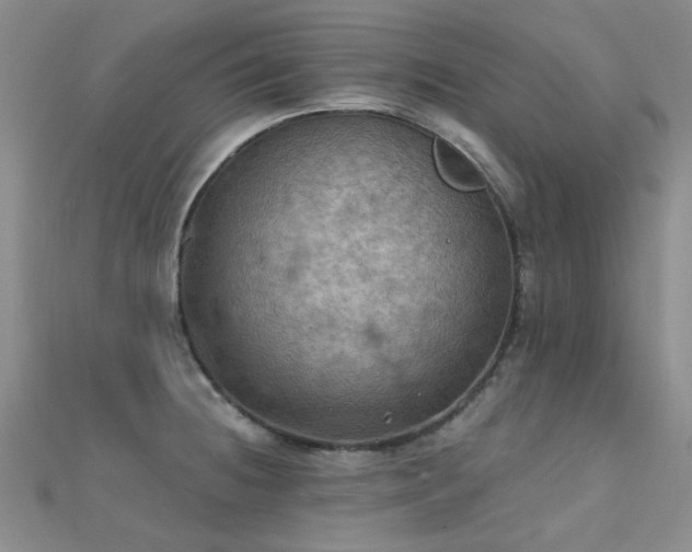 X0000112031236200908101331