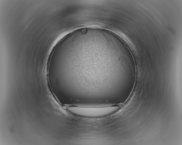 X0000112031240200908101331