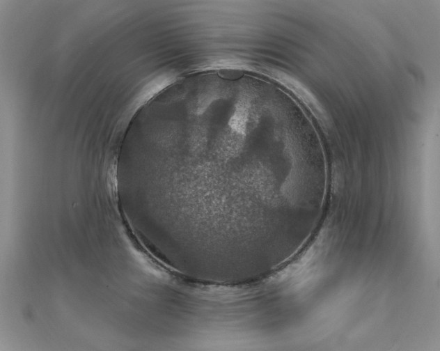 X0000112031241200908101331