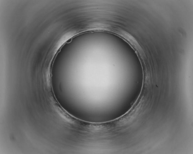 X0000112031242200908101331