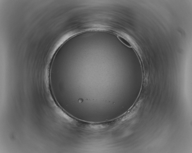 X0000112031243200908101331