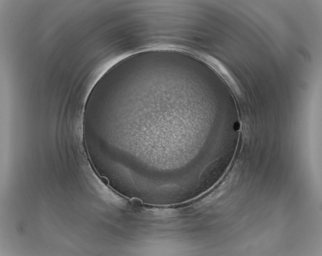 X0000112031244200908101331