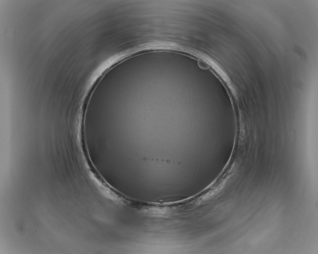 X0000112031245200908101331