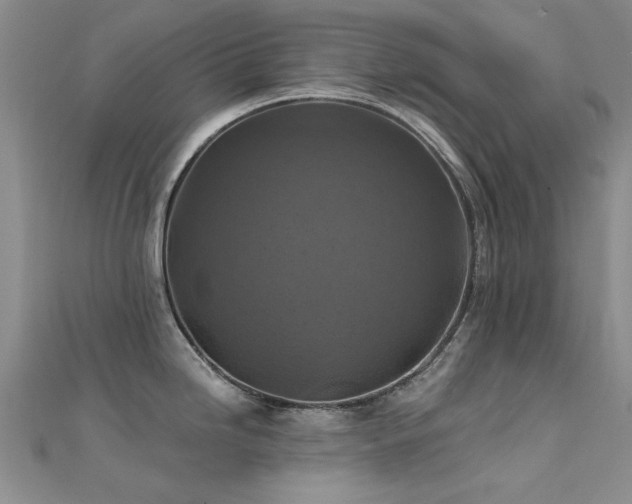 X0000112031246200908101331