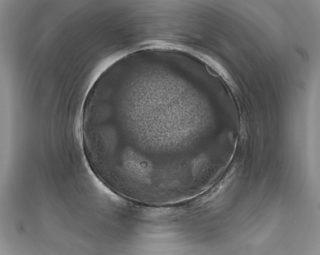 X0000112031247200908101331