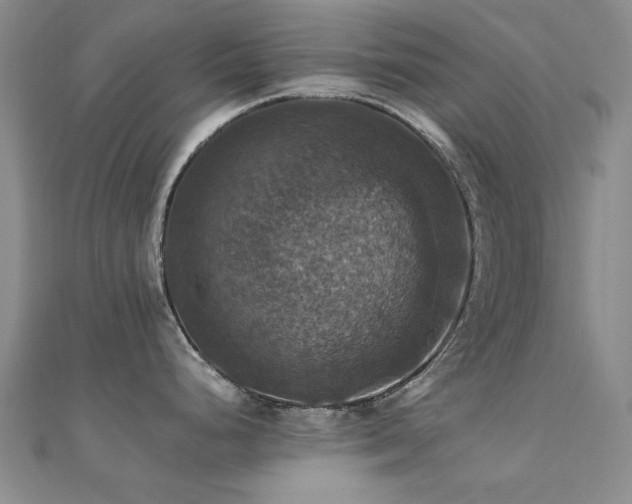 X0000112031248200908101331