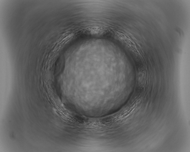 X0000112031249200908101331