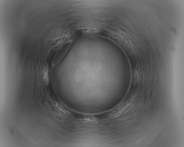 X0000112031250200908101331
