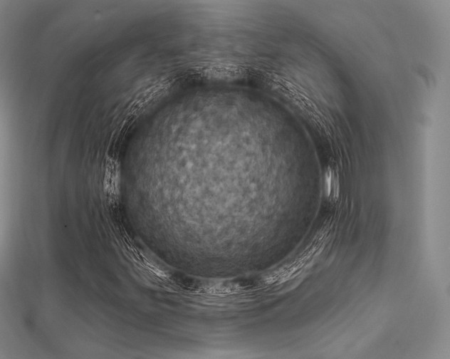 X0000112031251200908101331
