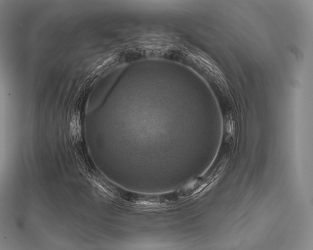 X0000112031252200908101331