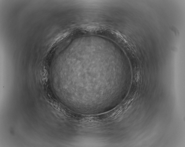 X0000112031253200908101331