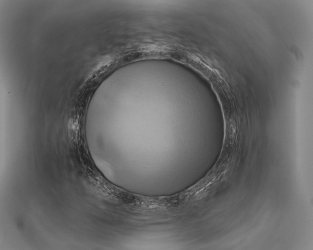 X0000112031254200908101331