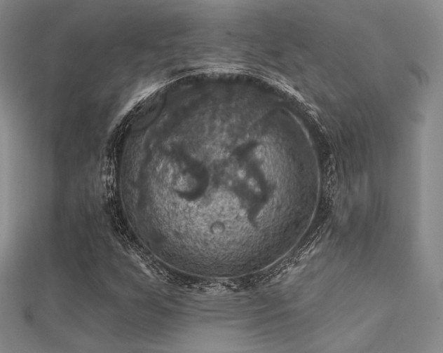 X0000112031255200908101331