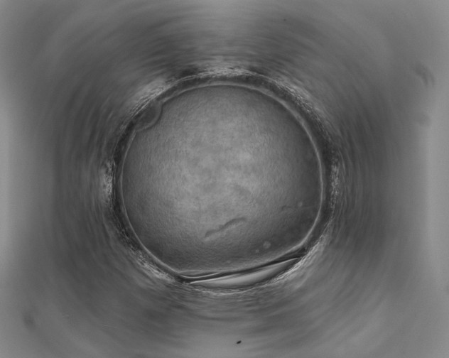 X0000112031257200908101331