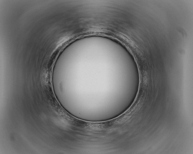 X0000112031258200908101330