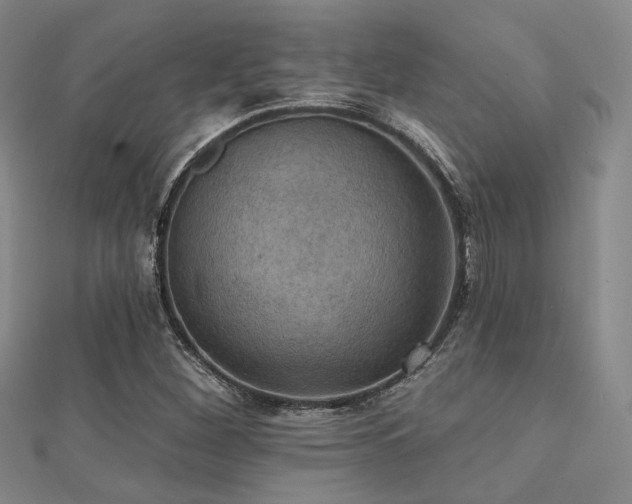 X0000112031260200908101330