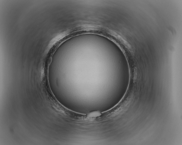 X0000112031261200908101330