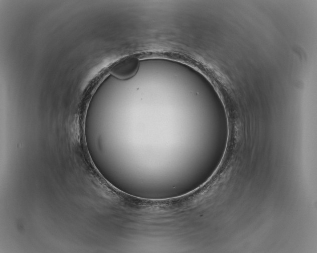 X0000112031262200908101330