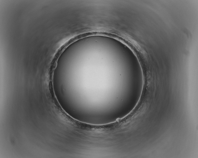 X0000112031264200908101330