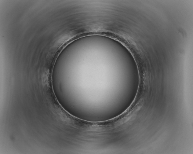 X0000112031265200908101330
