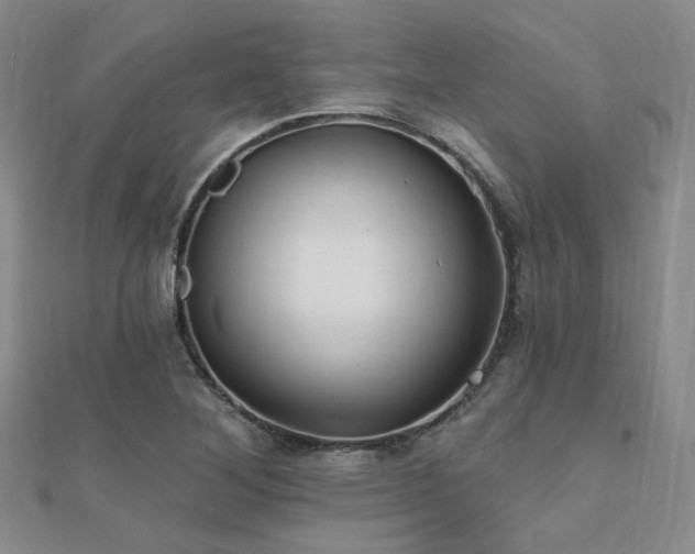 X0000112031268200908101330