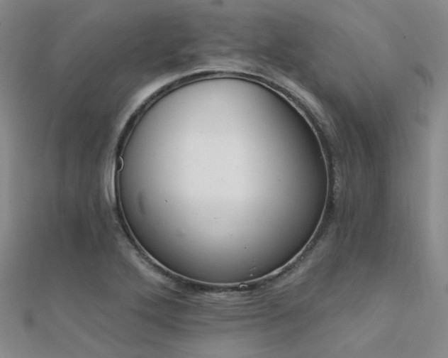 X0000112031272200908101330