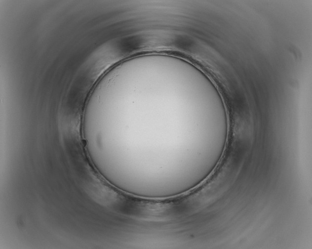 X0000112031273200908101330