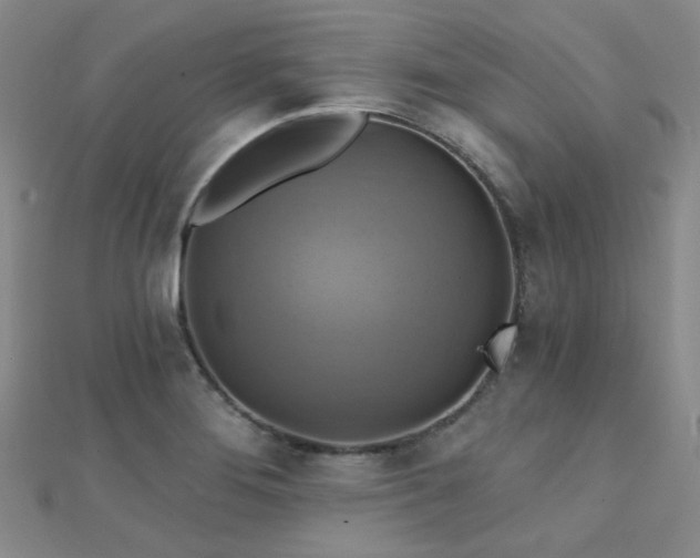 X0000112031276200908101330