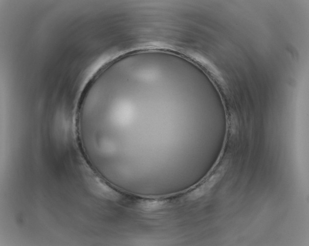 X0000112031278200908101330