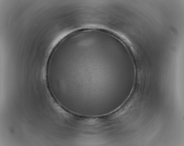 X0000112031279200908101330