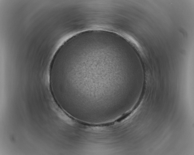 X0000112031280200908101330