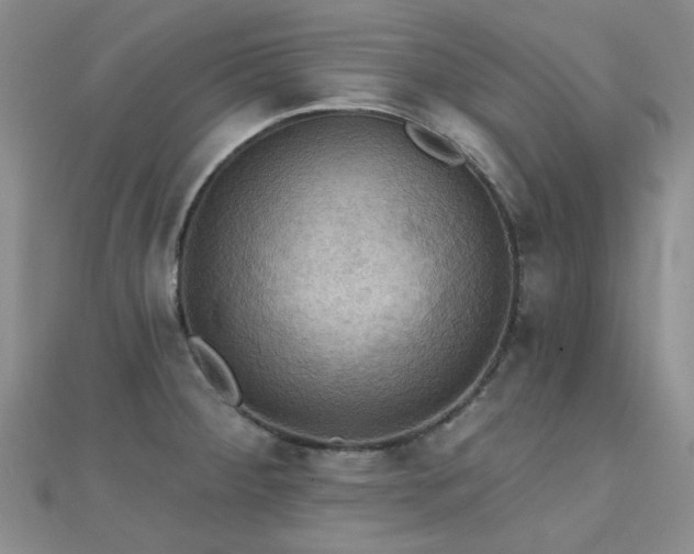 X0000112031284200908101330