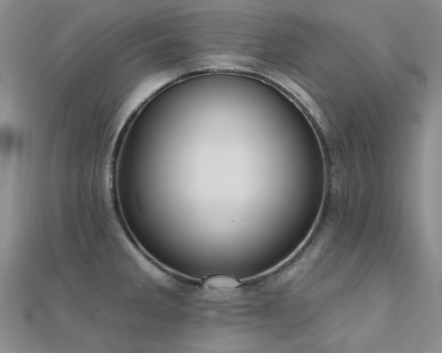X0000112031285200908101330