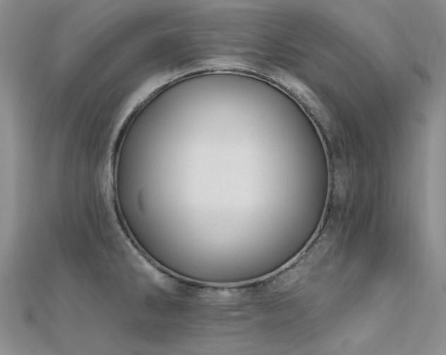 X0000112031286200908101330