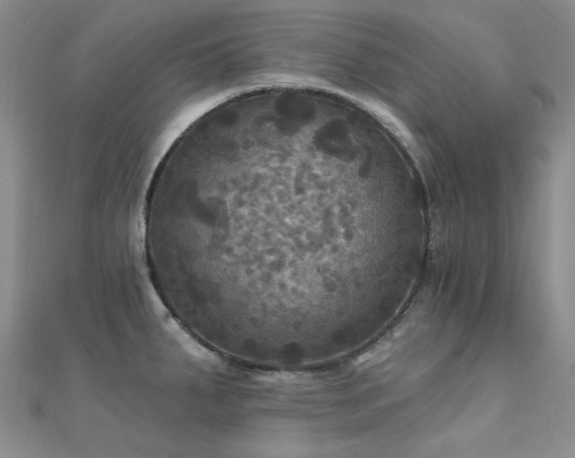 X0000112031287200908101330